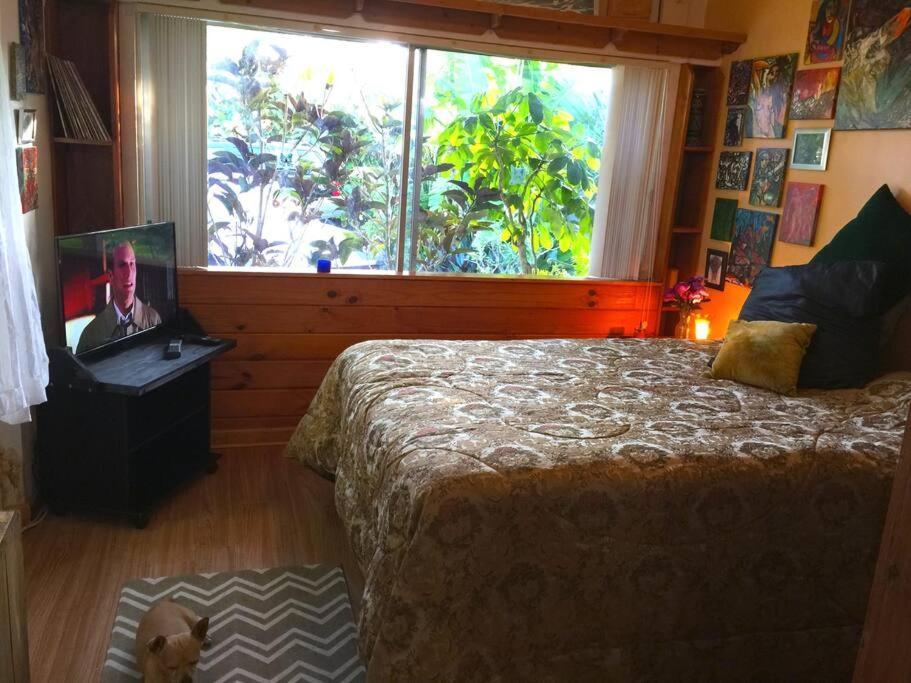 Miami Bungalow Oasis Near Everglades & The Keys คัทเลอร์เบย์ ภายนอก รูปภาพ